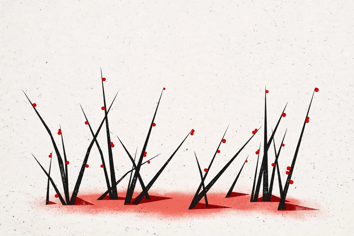 Illustration accompanying Maybe…tomorrow
