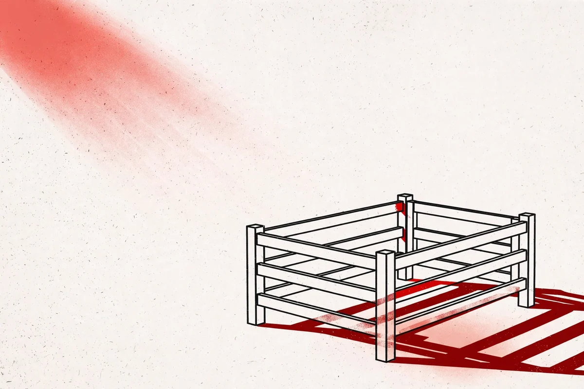 Illustration accompanying The legacy of the goat in the mind of the Ghanaian